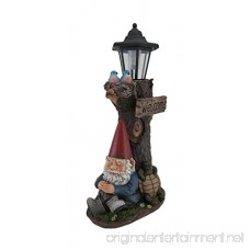 Zeckos Resin Outdoor Figurine Lights Gnome Nap Station And Welcome Sign Solar Led Lantern 9 X 18 X 7 Inches Multicolored - B012Y97CZ0