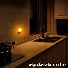 [2 Bulbs] Natural Himalayan Salt Lamp Plug in Hand Carved Crystal Night Light Best Bedroom Living Room Kitchen Hallway Wall Light - B07B7K91CQ