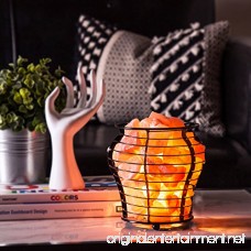 Crystal Allies Natural Himalayan Salt Wire Mesh Basket Vase Lamp with Cord Light Bulb & Authentic Crystal Allies Info Card - Choose Your Pattern (Vessel) - B0774TJSN4