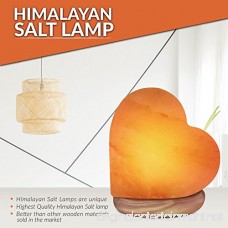 Himalayan Glow 944AC USB Heart Salt Lamp Multicolor Night Light Best Home Decor by WBM - B07BN6K59L