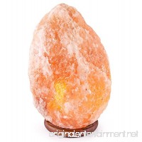 Himalayan Salt Lamp(7-13 lbs)  Hand Carved Glow Natural Crystal Rock Lamp with Wood Base  2 Bulbs and Dimmer Switch for Office Decorations Air Purifies - B019Q5FEL4