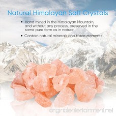 Himalayan Salt Lamp Pink Crystal Sea Salt Rock Lamp Bowl 2x15W Bulbs Metal Base Dimmable Controller UL-Listed Cord - B072TZTL93