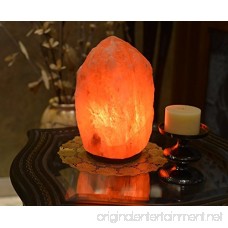 Himalayan Salt Lamp With Neem Wood Base and Dimmer Control - B01CZRHZIK