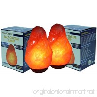 Indusclassic LN-2 Pack Of 2 Natural Himalayan Crystal Rock Salt Lamp Ionizer Air Purifier 4~7 lbs / UL Listed Cord and Dimmer Control Switch  Exceptional Quality Packaging - B00TBYH95U