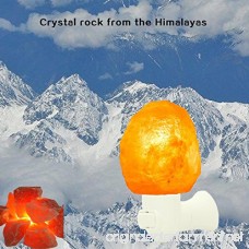 LAIER Himalayan Salt Lamps Crystal Salt Lamp Natural Air Purifier Soft Night Light and Multi LED Color Changing Bulb - B0752WXGTD