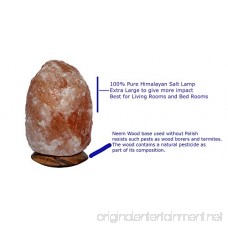 Magic Salt Salt Lamp Himalayan Pink Salt Lamps 8-11 lbs Natural Hymilian Salt Rock Crystal Himilian Salt Crystal with Power Cord and Bulb Special Cut Neem Wood Base 100% Natural Himilian - B07CV4CW85