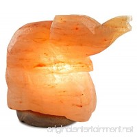 Natural Himalayan Elephant nose up Salt Lamp Ionic Air Purifier with on/off cord and Wooden Base - B01HTTX9PM