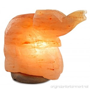 Natural Himalayan Elephant nose up Salt Lamp Ionic Air Purifier with on/off cord and Wooden Base - B01HTTX9PM