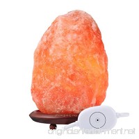 SMAGREHO Natural Himalayan Hand Carved Salt Lamps with Touch Dimmer Switch  UL Approved (5-8 lbs) - B0758C5KQK