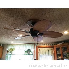 Hampton Bay Lillycrest 52 Indoor/Outdoor Aged Bronze Ceiling Fan - Model # 32711 - B01N7M1U9W