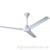 Hardware House 41-5976 Caribbean 56-Inch Industrial Ceiling Fan  Gloss White - B001FED7IC