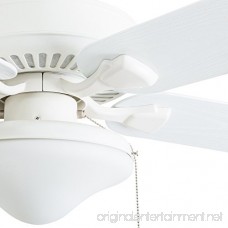 Honeywell Ceiling Fans 50513-01 Belmar Outdoor LED Ceiling Fan ABS Weatherproof Blades White - B07DK35F3G