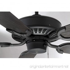 Savoy House 52-SGO-5CN-FB Lancer 52-Inch Ceiling Fan Flat Black Finish with Outdoor Rated Chestnut Blades - B0039AO9X2