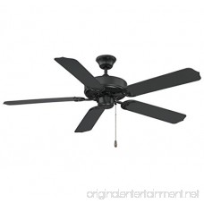 Savoy House Nomad 52 Outdoor Ceiling Fan in Flat Black 52-EOF-5MB-FB - B0039ARUHO