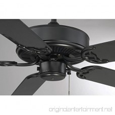 Savoy House Nomad 52 Outdoor Ceiling Fan in Flat Black 52-EOF-5MB-FB - B0039ARUHO