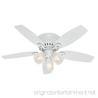 Hunter 52087 Hatherton 46-Inch Snow White Ceiling Fan with Five Snow White Blades and a Light Kit - B00ED809R4