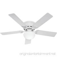 Hunter 53075 Low Profile lll Plus 52-Inch Five Blade Single Light Ceiling Fan with White Blades and Frosted Glass Globe  White - B00CG6YV0G