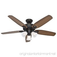 Hunter 53238 Builder Plus 52-Inch Ceiling Fan with Five Harvest Mahogany/Brazilian Cherry Blades and Swirled Marble Glass Light Kit  New Bronze - B00ESVXSHY