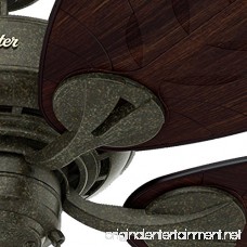 Hunter 54098 Bayview 54-inch ETL Damp Listed Provencal Gold Ceiling Fan with Five Antique Dark Wicker/Antique Dark Palm Leaf Plastic Blades - B00ESVXWP2