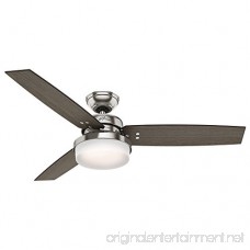Hunter 59157 Sentinel 52 Ceiling Fan with Light with Handheld Remote Large Brushed Nickel - B06X91TB3Q