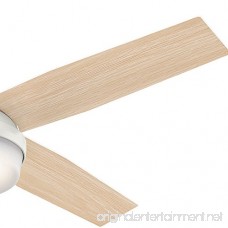 Hunter 59252 Contemporary Dempsey Damp Fresh White Ceiling Fan with Light & Remote 52 - B01CDG0GCU