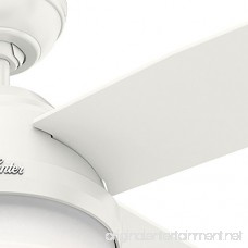 Hunter 59252 Contemporary Dempsey Damp Fresh White Ceiling Fan with Light & Remote 52 - B01CDG0GCU