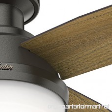 Hunter 59445 Dempsey Low Profile with Light 44 Ceiling Fan Handheld Remote Small Noble Bronze - B076FF4HKM