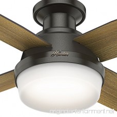 Hunter 59445 Dempsey Low Profile with Light 44 Ceiling Fan Handheld Remote Small Noble Bronze - B076FF4HKM