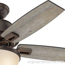 Hunter Fan Company 52225 Casual Donegan Bowl Light Onyx Bengal Ceiling Fan with Light 44 - B01CDGCE16