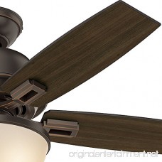 Hunter Fan Company 52225 Casual Donegan Bowl Light Onyx Bengal Ceiling Fan with Light 44 - B01CDGCE16
