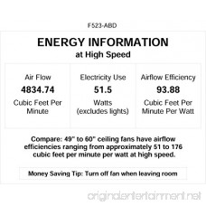 Minka-Aire F523-ABD Aluma 52 Outdoor Ceiling Fan with Light & Rmt Control Brushed Aluminum - B00I5SYL7W