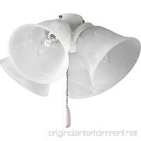 Progress Lighting P2643-30 4-Light Universal Fan Light Kit White - B001BQNGBM