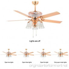 RainierLight Modern Crystal Ceiling Fan Remote Control 5 Reversible Blades 5 Frosted Glass Cover for Indoor/Bedroom/Living Room LED Fan Chandelier Mute Fan 52 Inch - B073RC7GZY