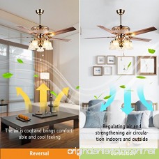 RainierLight Modern Crystal Ceiling Fan Remote Control 5 Reversible Blades 5 Frosted Glass Cover for Indoor/Bedroom/Living Room LED Fan Chandelier Mute Fan 52 Inch - B073RC7GZY