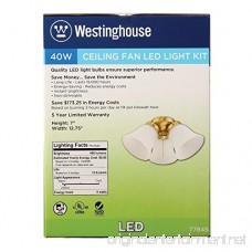 Westinghouse 7784500 Three LED Cluster Ceiling Fan Light Kit Polished Brass Finish with Frosted Ribbed Glass - B071R3KP34